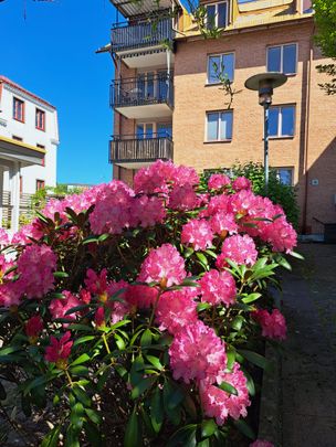 Agnebergsgatan, Uddevalla - Foto 1