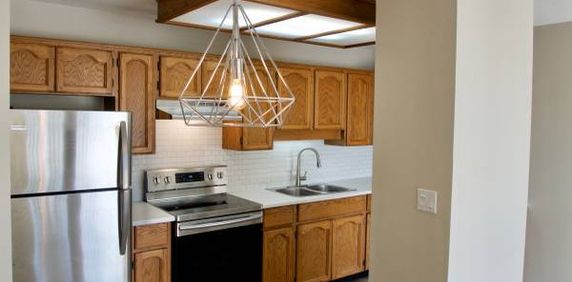 Beautiful RENOVATED 2 bdrm near Mill Lake and 7 Oaks - Photo 2