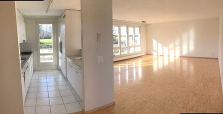 Au-dessus des toits de Hinwil - Foto 3