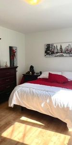 appartement 2 chambres, st-hubert - Photo 3