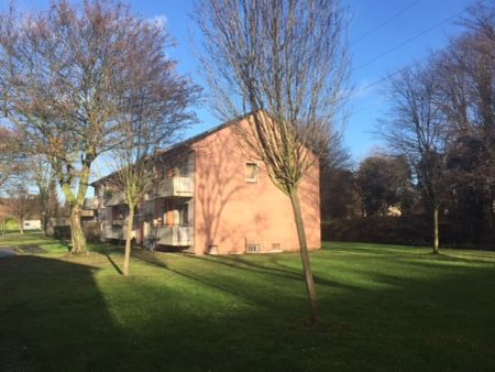 Eiderstraße 11, 47169 Duisburg - Foto 5