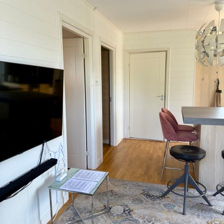 Vretaholm dammen, Gränna - Foto 2