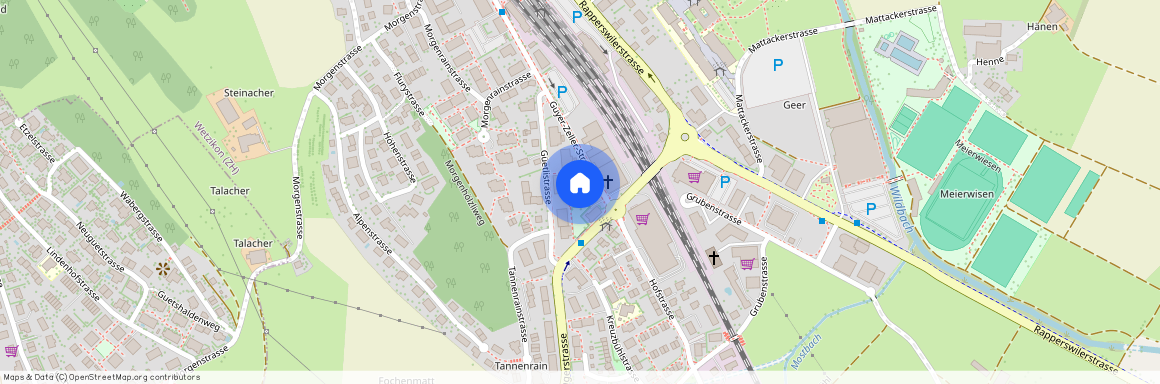 8620, Wetzikon ZH, Guyer-Zeller-Strasse, 1