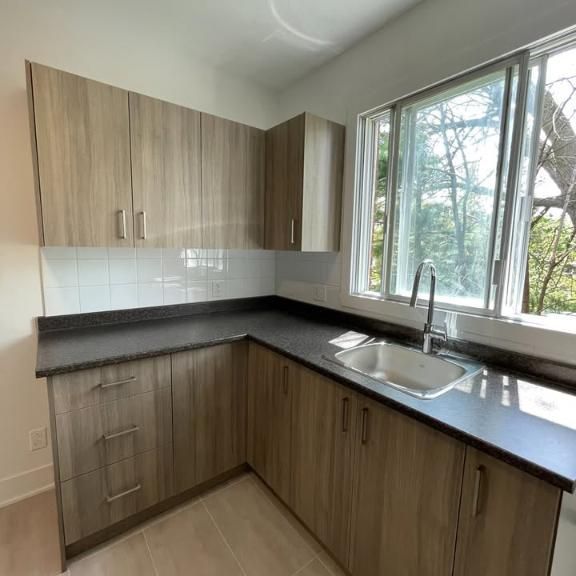 4-1/2 insonorisé libre maintenant chien accepté - Photo 1