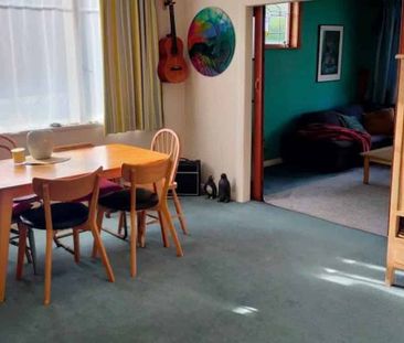 Large green Villa in quiet area of Waihi - Photo 3