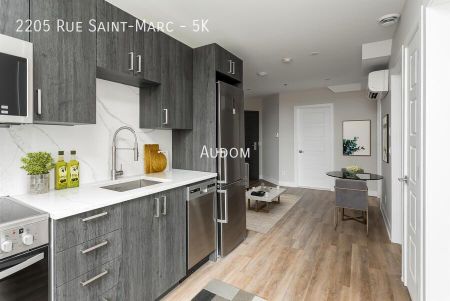 2205 Rue Saint-Marc - 5K - Photo 4