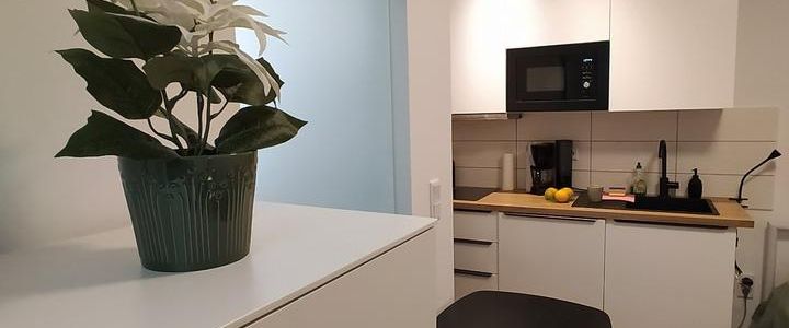 Vollmöbliertes Apartment zur ALL-IN Pauschalmiete - Foto 1