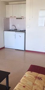 Location Appartement 1 pièce 20m² - Photo 3