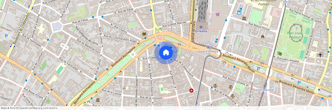 110 Rue Bannier, Orléans France