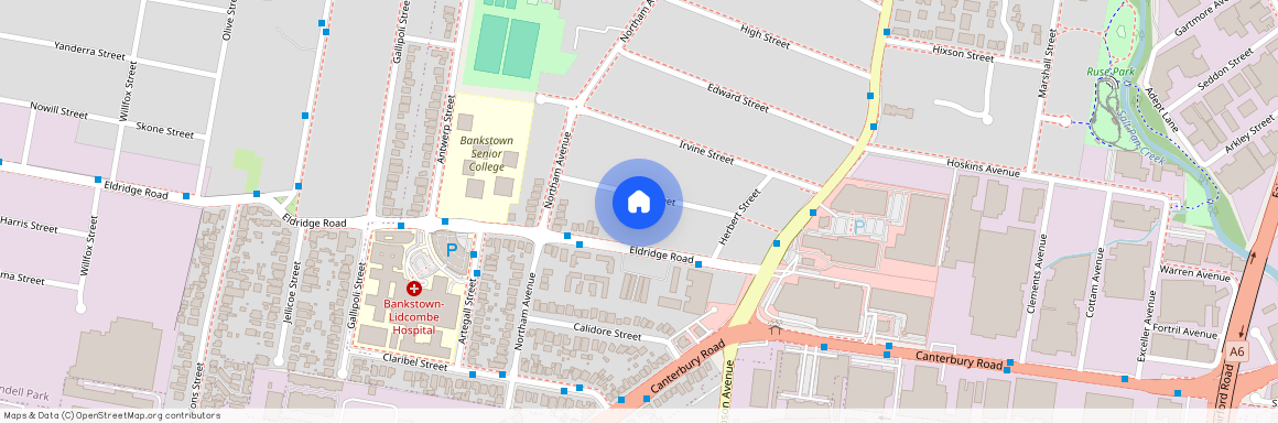 15 Arthur St, NSW 2200, Bankstown