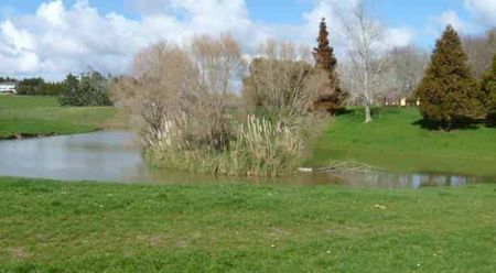 Rural Serenity - Photo 2