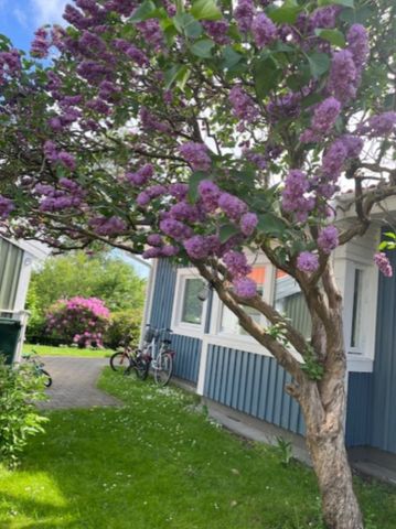 Mysigt och trivsamt hem hyrs ut - Photo 2