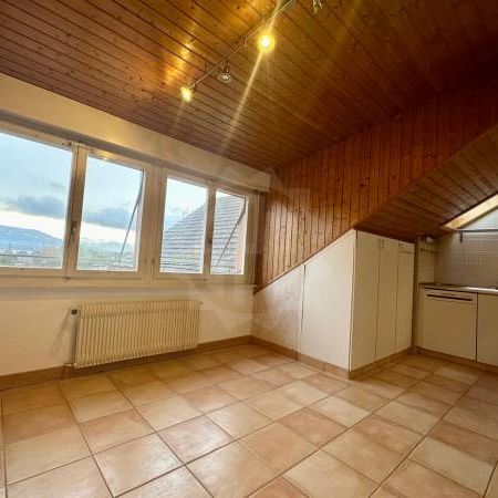 Ravissant Appartement - Coppet - Foto 1