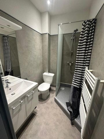 Location Appartement 1 pièce 29m² LE PUY EN VELAY 43000 - Photo 3