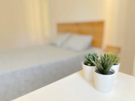 Avenida San Lázaro, Sevilla, Andalusia 41009 - Foto 3