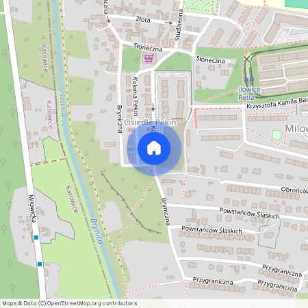 ul. Kolonia Pekin, Milowice, Sosnowiec, śląskie