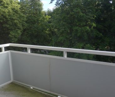 Jetzt frei! 3-Zimmer-Wohnung in Gelsenkirchen Hassel - Foto 6