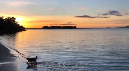 78 First View - Across the road from the Beach! - Photo 5