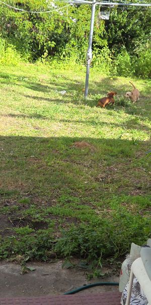 Bowen Hills - Photo 1