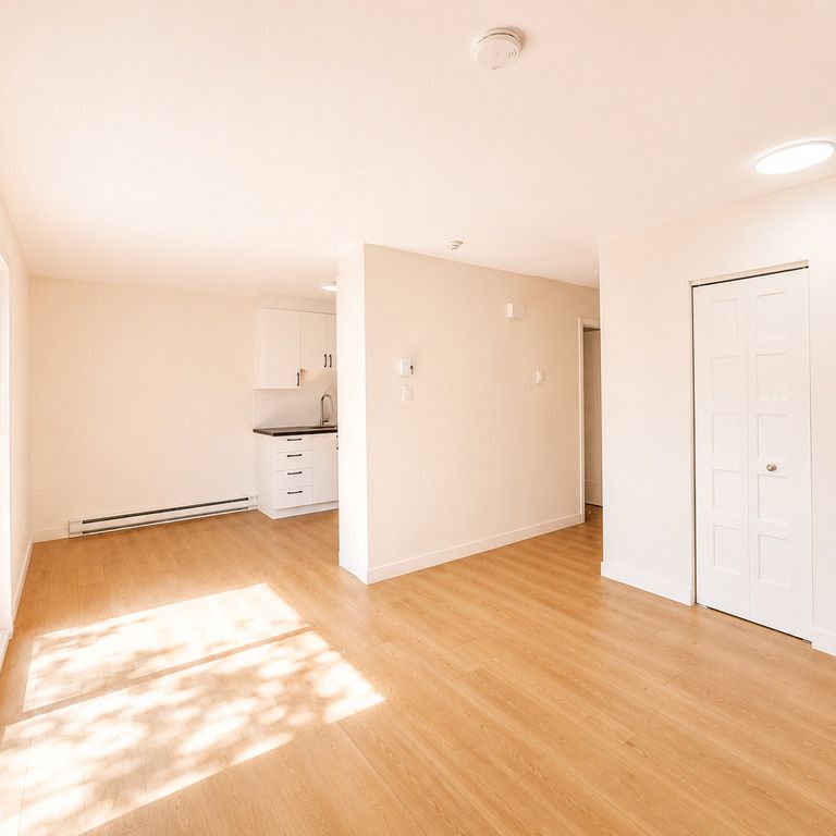 Appartement 1 Chambre à Louer - Photo 1