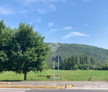 Trilocale in affitto - Photo 1