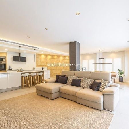 7 Carrer de Miquel Rosselló i Alemany, Palma de Mallorca, Balearic Islands 07015 - Photo 4