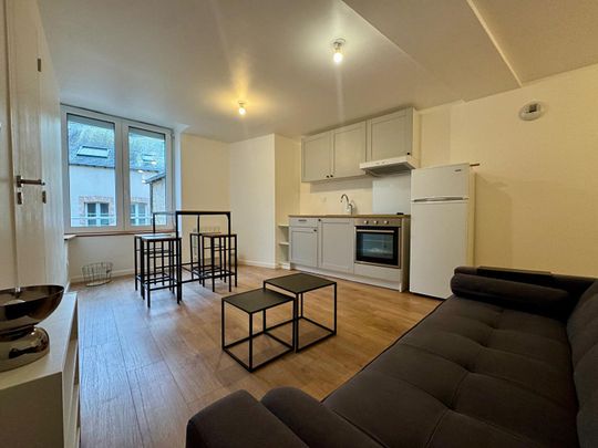 Location appartement 2 pièces, 32.94m², Laval - Photo 1