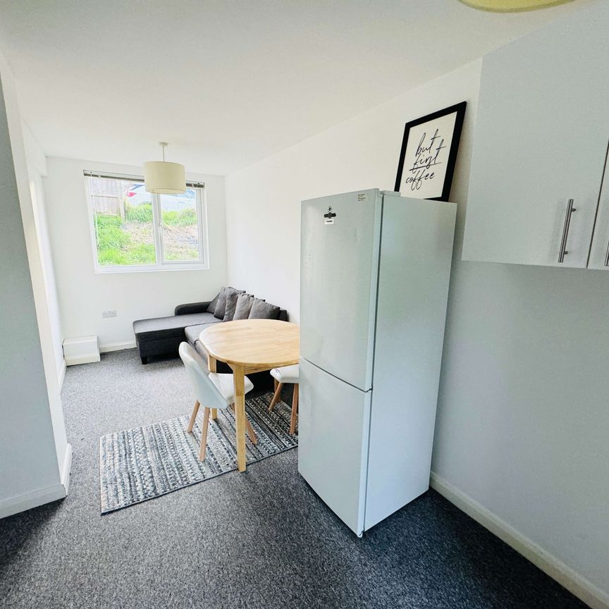 A Comforting 6 Double Bedrooms for Rent in Brighton Room 5 - Photo 1