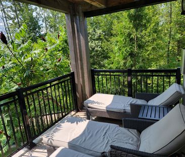 For Lease - 10 Brandy Lane Drive Unit# 208, Collingwood, Ontario - Photo 3