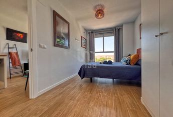 Alicante, Valencian Community 03700