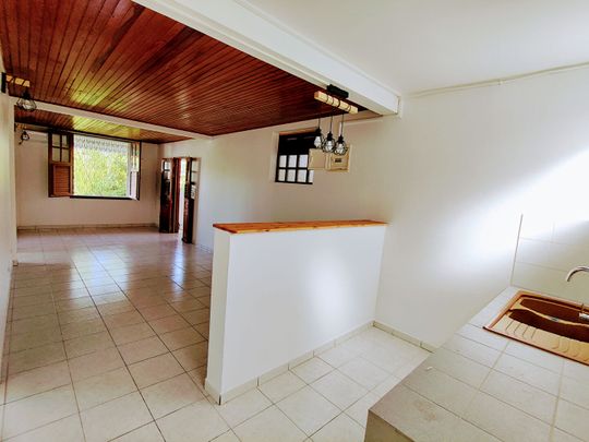 Location appartement 1 pièce, 51.31m², Le Robert - Photo 1