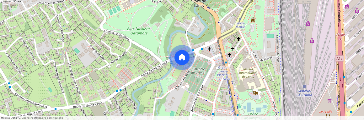 1212, Grand-Lancy, Route Du Grand-Lancy, 87