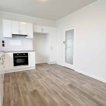 Includes Lawns! - Photo 3