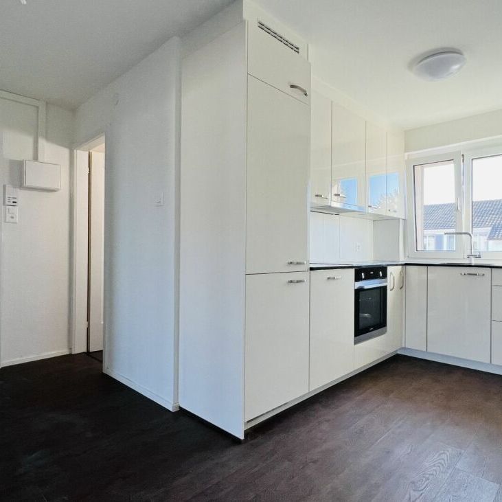 Neubau, Zweitbezug 3-Zimmerwohnungen mit Balkon und Keller - Foto 1