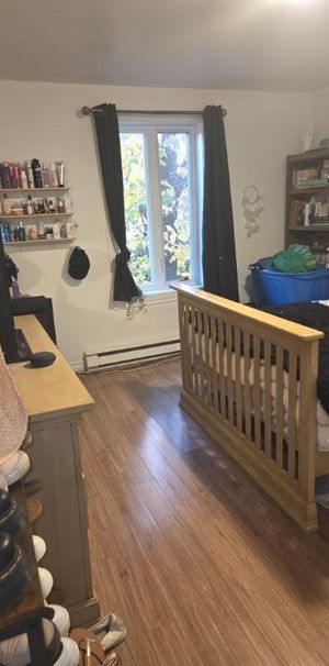 Logement 4 1/2 Sainte Martine - Photo 1