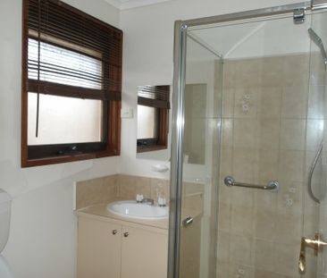 Newly Renovated 4-Bedroom Family Home in Hampton Park - Photo 4