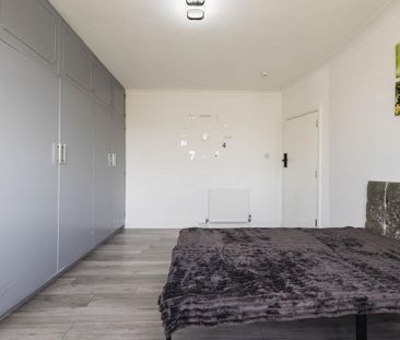 House share to rent - Photo 4