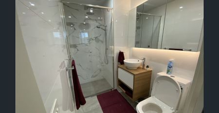 FURNISHED TWO BEDROOM APARTMENT IN GREAT LOCATION - Photo 5