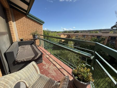 Queanbeyan Convenience - Photo 4