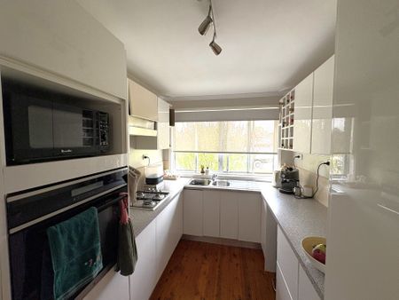 Beautiful Home in Prime Location! - Photo 4