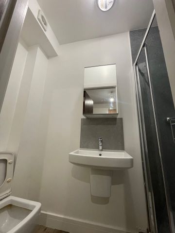 Studio Flat, Grenoble Gardens, N13 - Photo 5