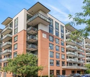 For Lease - 88 COLGATE Avenue Unit# 309, Toronto, Ontario - Photo 1