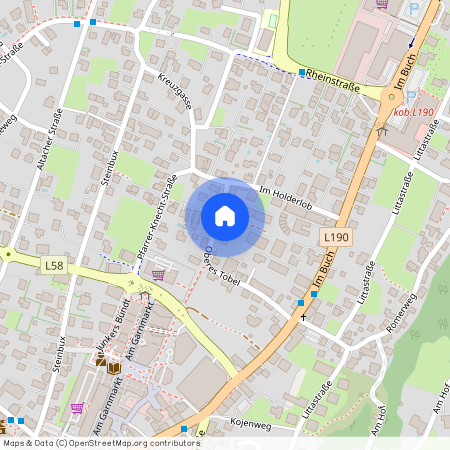 Oberes Tobel 24B, 6840, Götzis