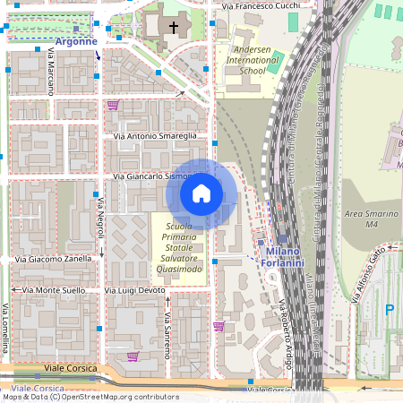 Via Cardinale Mezzofanti, Milano, Lombardy 20133