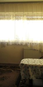 mazowieckie, Warszawa, Racławicka - Zdjęcie 4