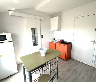 Location Appartement 1 pièce 16m² TOULOUSE 31400 - Photo 4