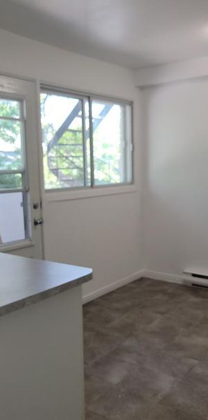 Superbe 4 ½ très lumineux et fraîchement rénové à Longueuil – Disponible immédiatement ! - Photo 1