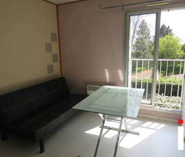 Location Appartement 1 pièce 15m² NANTES 44300 - Photo 3