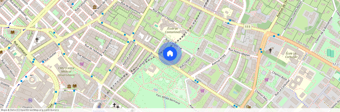 Rue Crespin 14, 1206, Genève