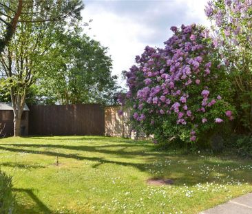 2 bedroom semi-detached house to rent - Photo 5